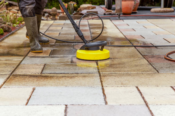 Animal Enclosure Cleaning in Arlington, NY